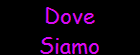 Dove
Siamo